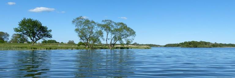 Maribosøerne set fra vandet med træer i baggrunden og blå himmel