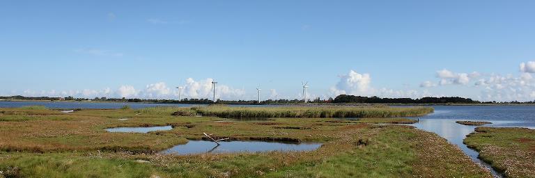 The fine beach meadows with waterholes and loer and in the background Lolland with four windmills 